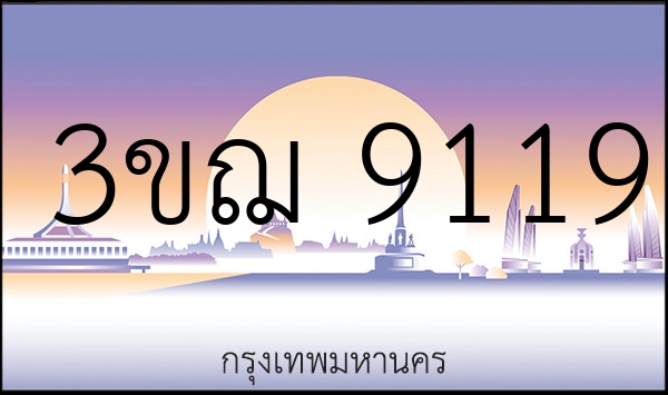 3ขฌ 9119